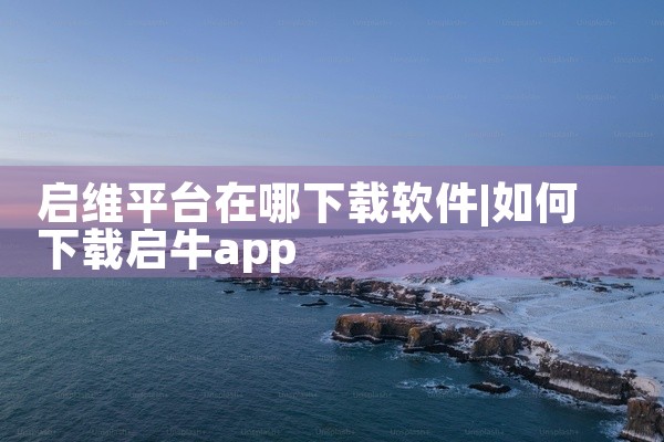 启维平台在哪下载软件