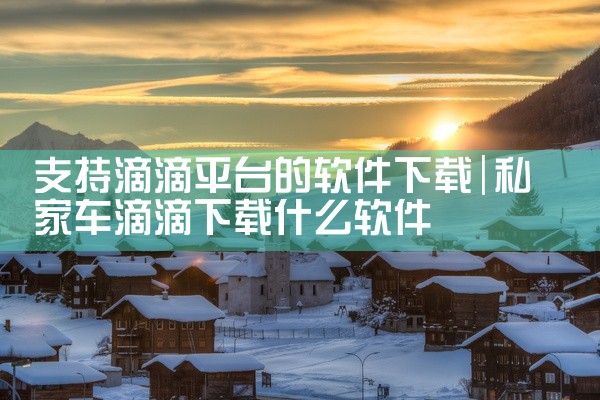支持滴滴平台的软件下载