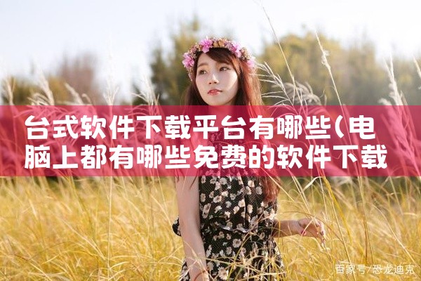 台式软件下载平台有哪些