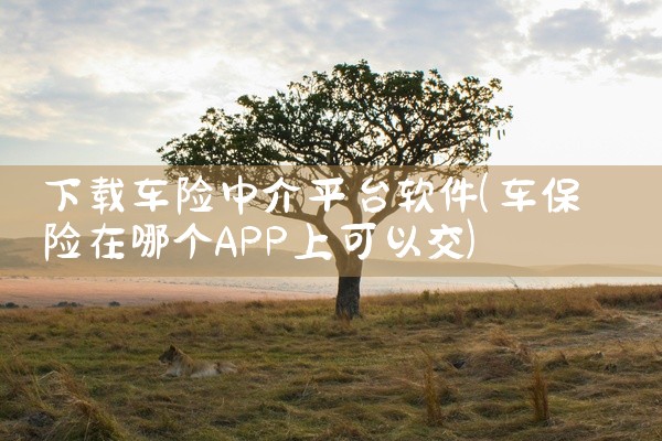 下载车险中介平台软件