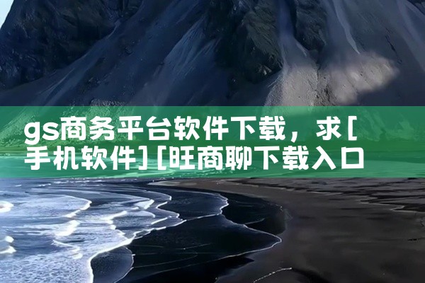 gs商务平台软件下载