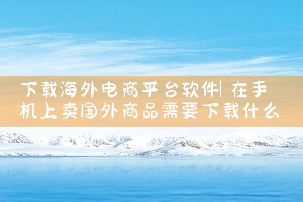 下载海外电商平台软件
