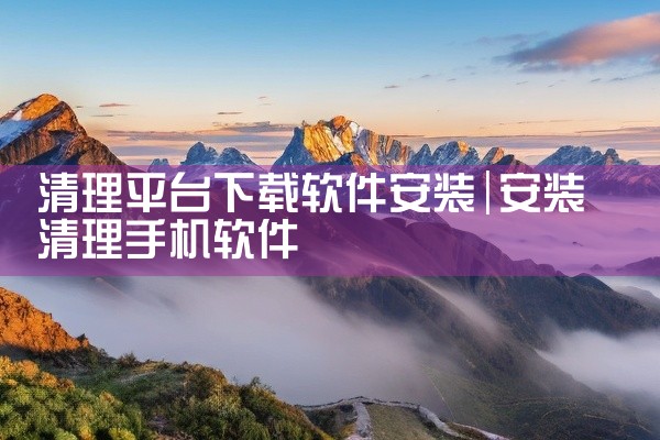 清理平台下载软件安装