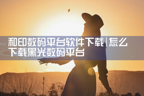 和印数码平台软件下载