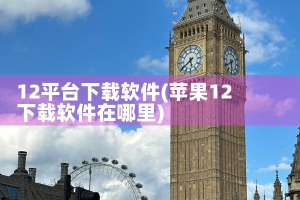 12平台下载软件