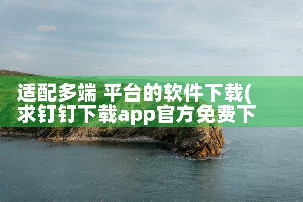 适配多端 平台的软件下载