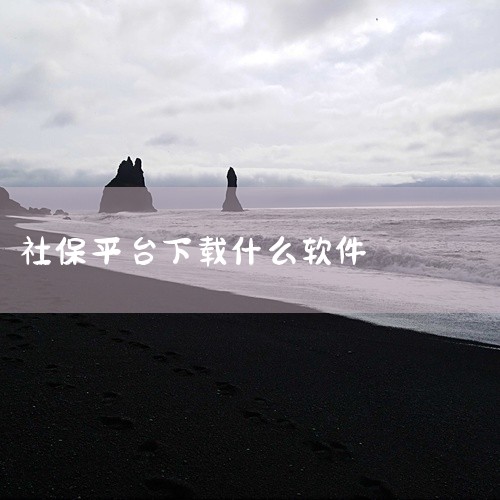 官方权威平台方面，《掌上12333》是人力资源和社会保障部官方APP，支持社保查询、缴费、转移、待遇认证等...|