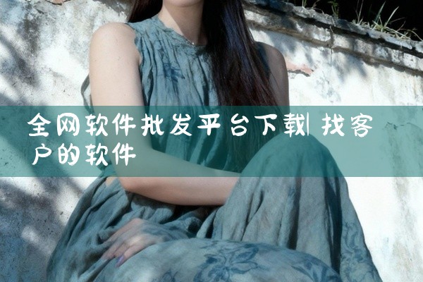 全网软件批发平台下载