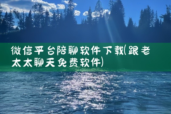 微信平台陪聊软件下载