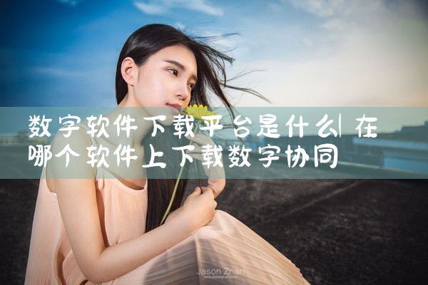 数字软件下载平台是什么