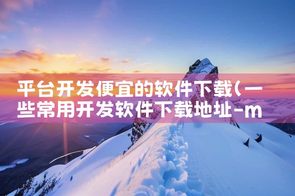 平台开发便宜的软件下载