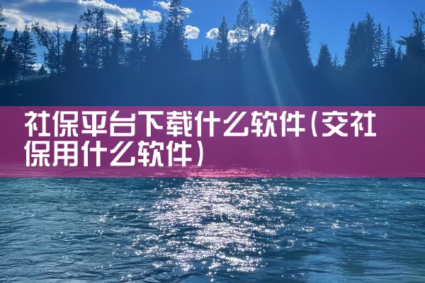 社保平台下载什么软件