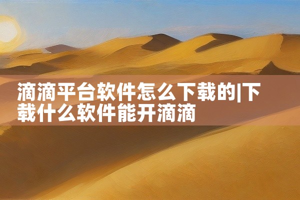 滴滴平台软件怎么下载的