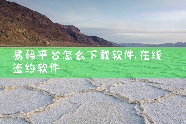 易码平台怎么下载软件