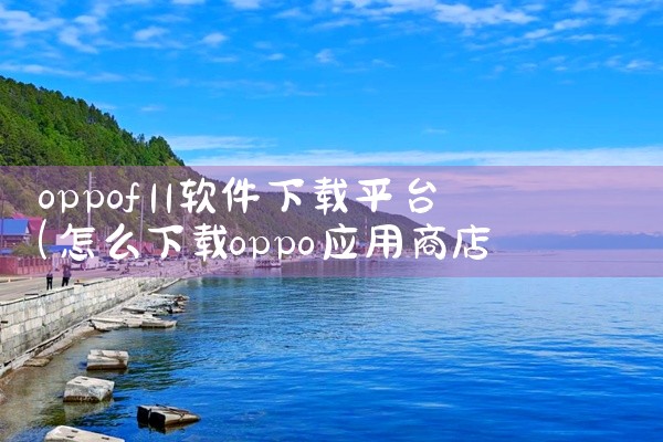 oppof11软件下载平台
