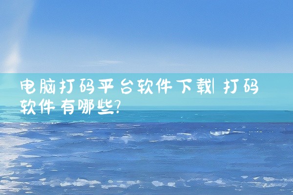 电脑打码平台软件下载